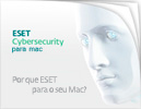 ESET Cybersecurity Consumer Brochure